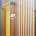 Sticker—Rêve de ballerine